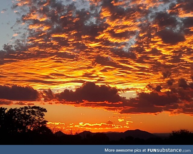 A picture of a sunset taken from my driveway