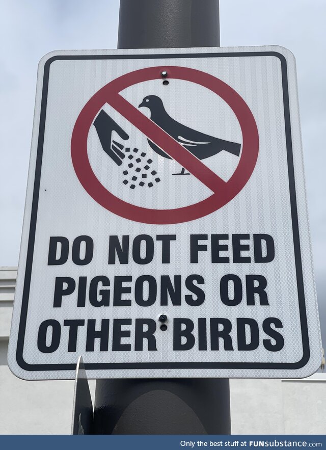 I guess we couldn’t just go with birds?