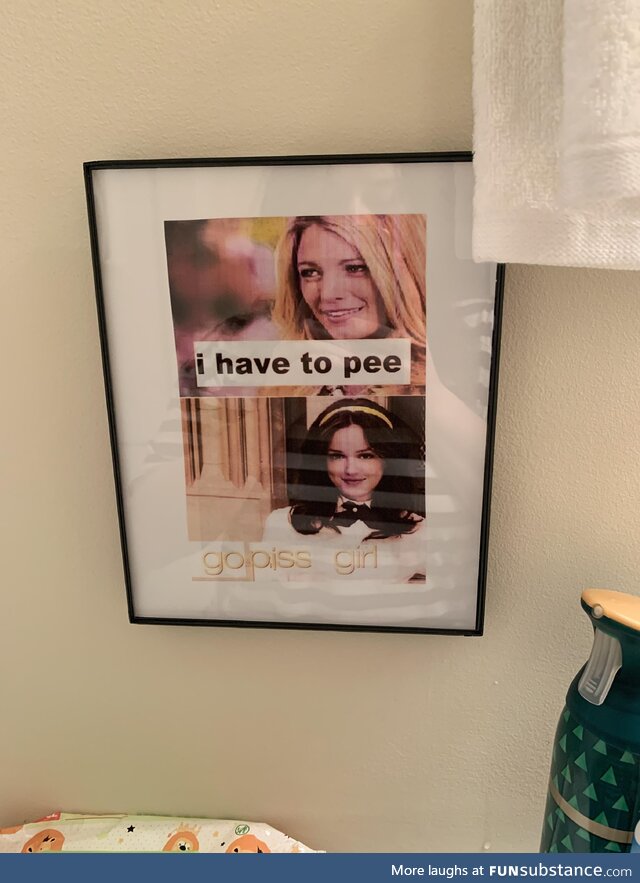 I put up bathroom art above my toilet