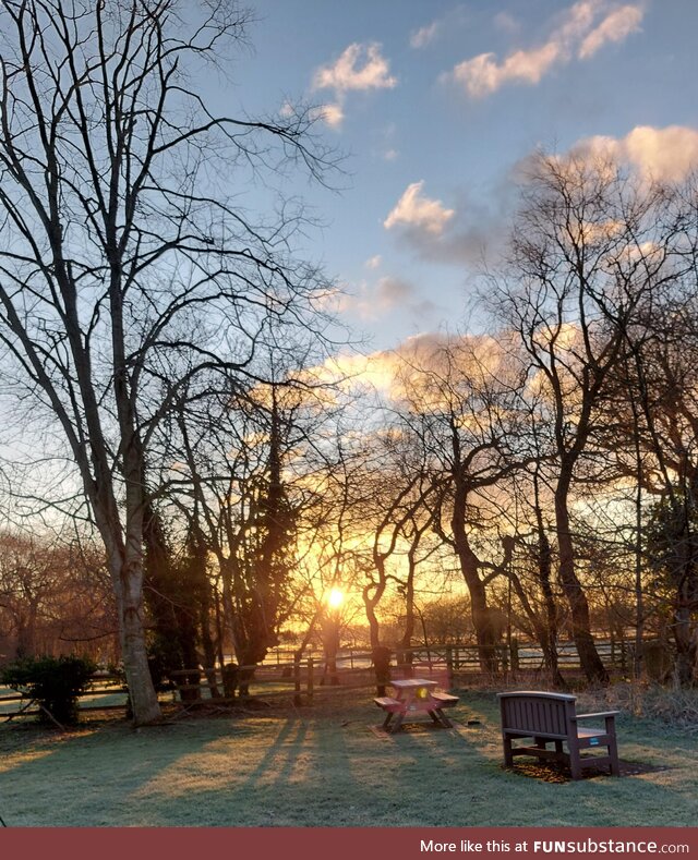 Frosty morning walk