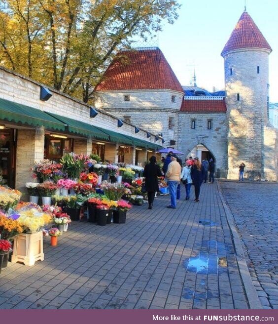 Puerta viru, tallin, estonia