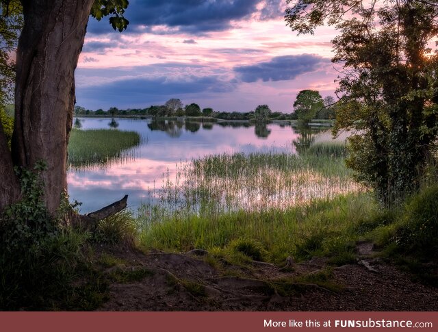 Here's a picture I took of Tring Reservoirs last night at sunset [OC]