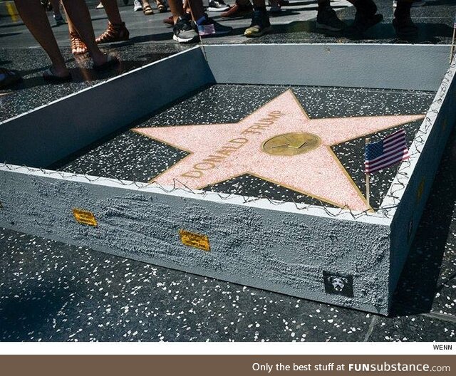 A wall has been built around Donald Trump star on the Hollywood Walk of Fame