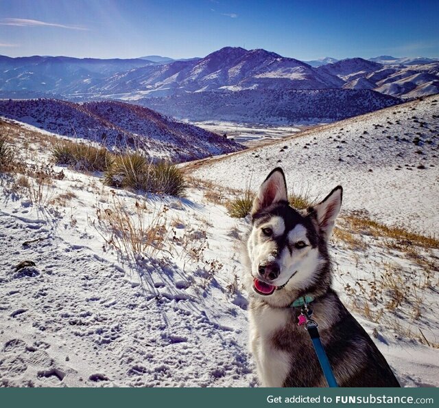 [OC] I took a pic on a hike in Golden ,Colorado. Say hello to Marles Barkley