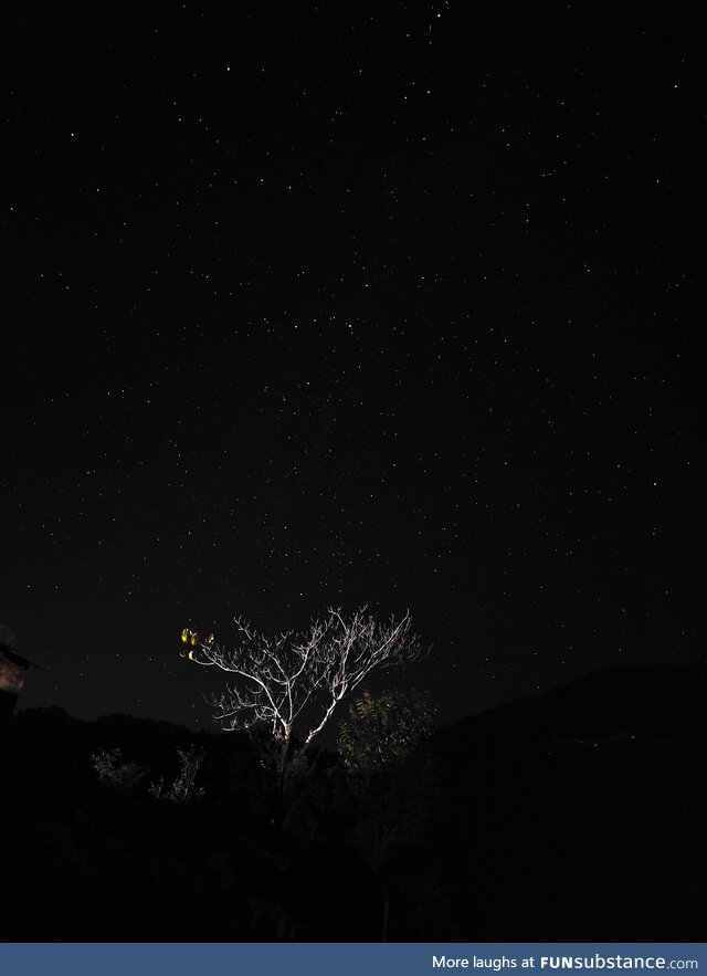 Night skies adore me the most .. Uttrakhand, India