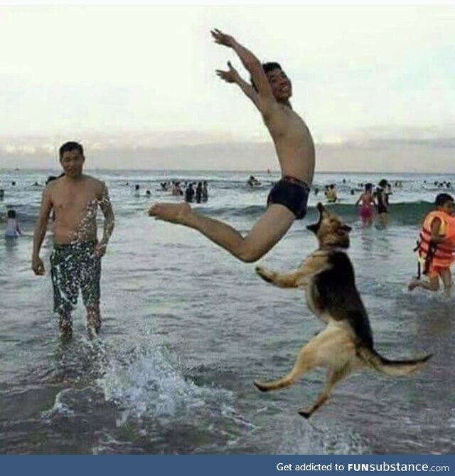 Catch the ballz, good boy!