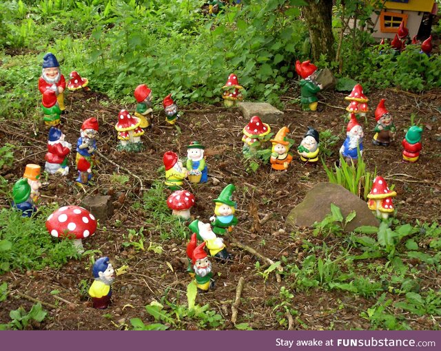 Gnomes. Location unknown. Photo: 04 May 2007