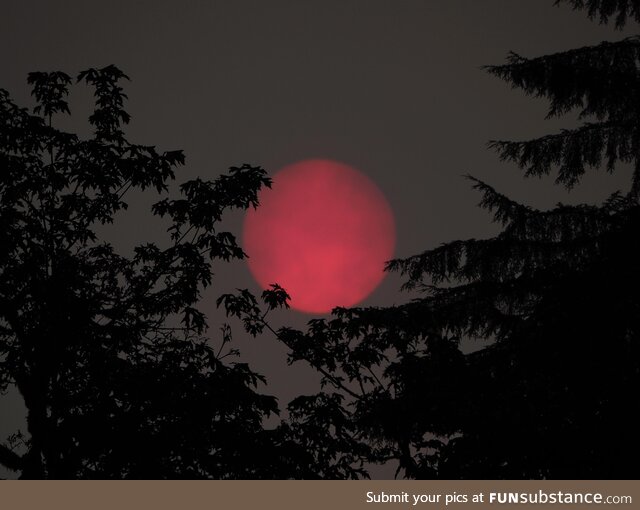 [OC] the sun behind a smoky sky