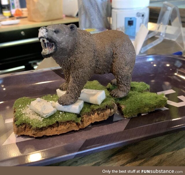 I made a cocaine bear diorama at work today (I work in a weed shop)…how’d I do?