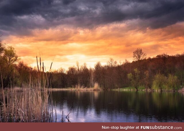 At the end of the small forest lake