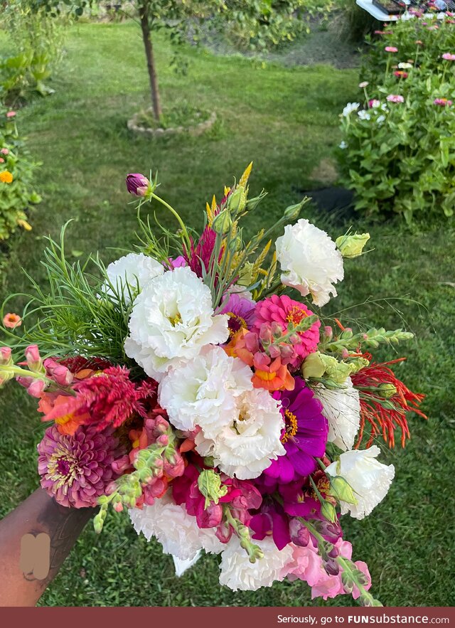 I grew my own wedding bouquet from seeds