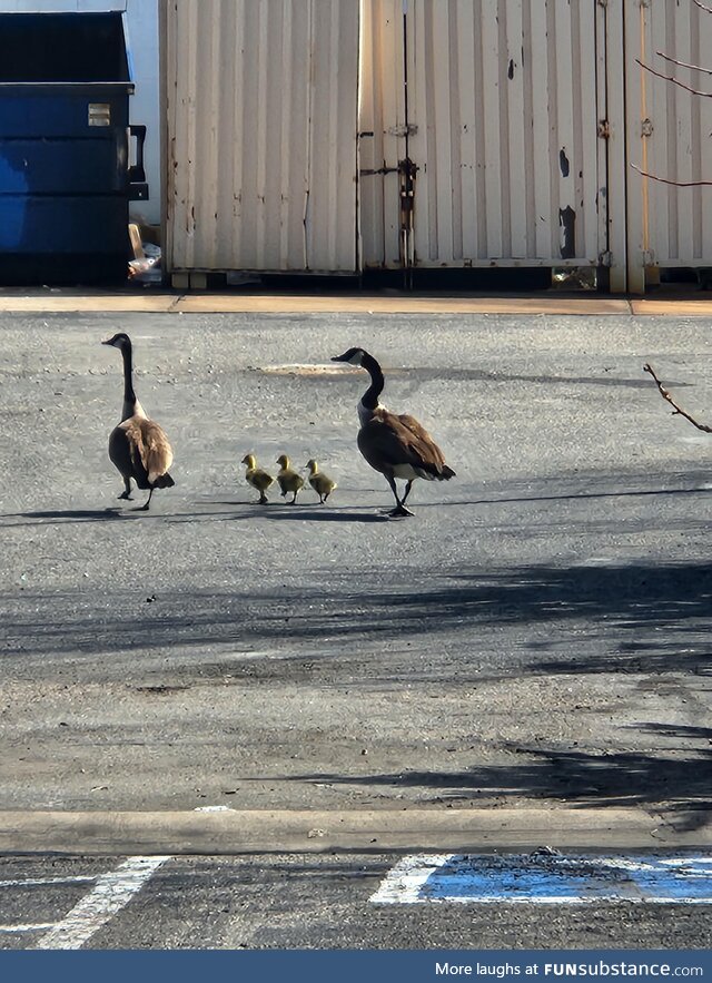 How I know spring has sprung. Mom and Dad out with the kids