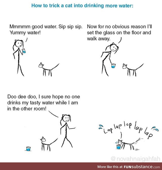 Get hydrated