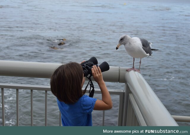 I wanted to teach my daughter the joys of bird watching