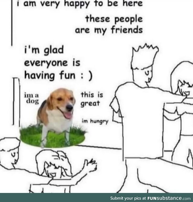 Doge things