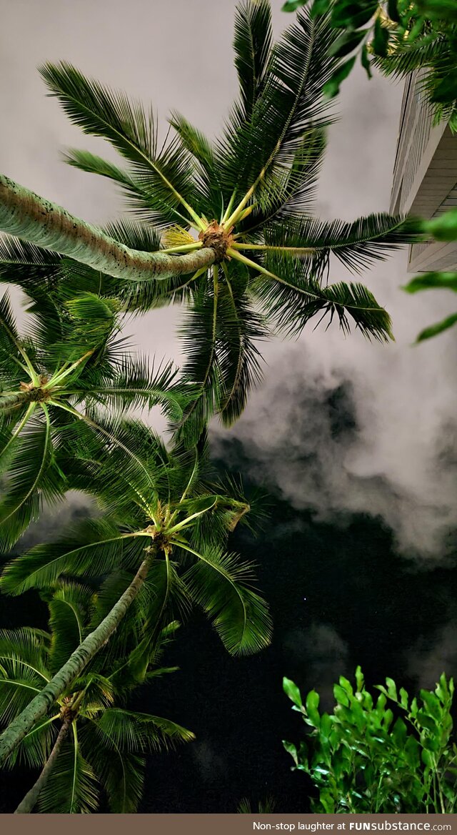 [OC] I took a picture of my view of the nighttime sky in Honolulu