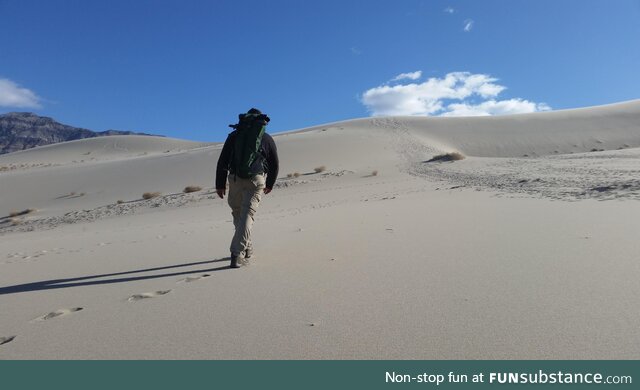 Walking into the sand dunes of Death Valley, California [OC]