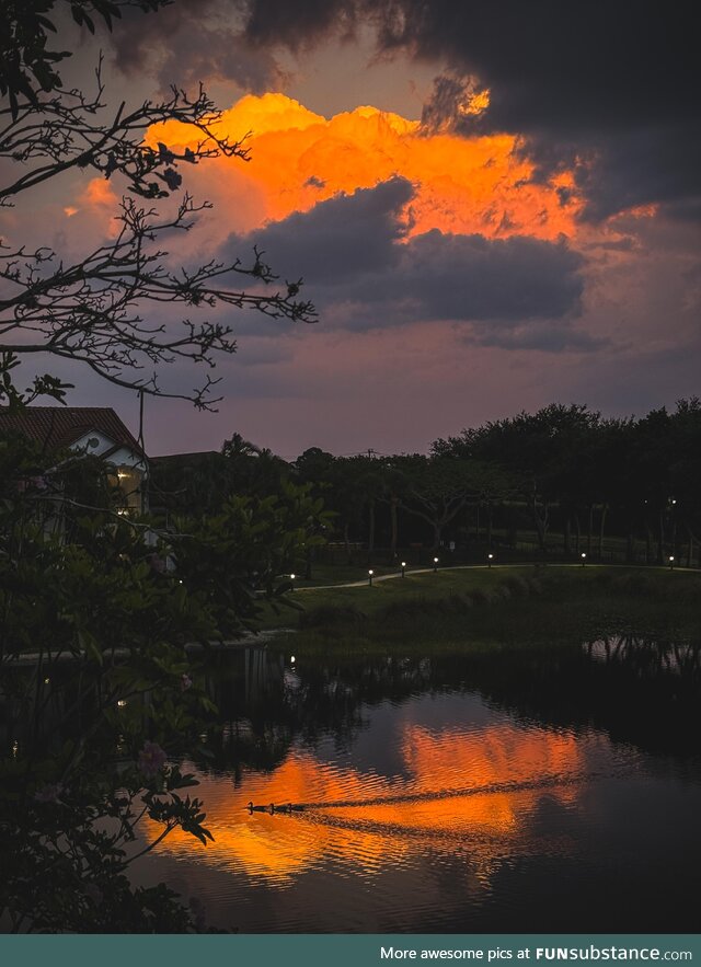 My lake view the other night