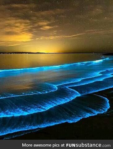 Bioluminescent plankton glowing up a beach in Maldives