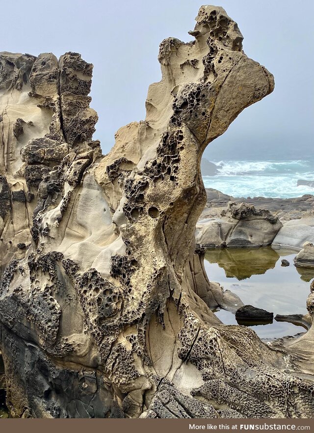 This rock formation with its intricate patterning (known as tafoni)