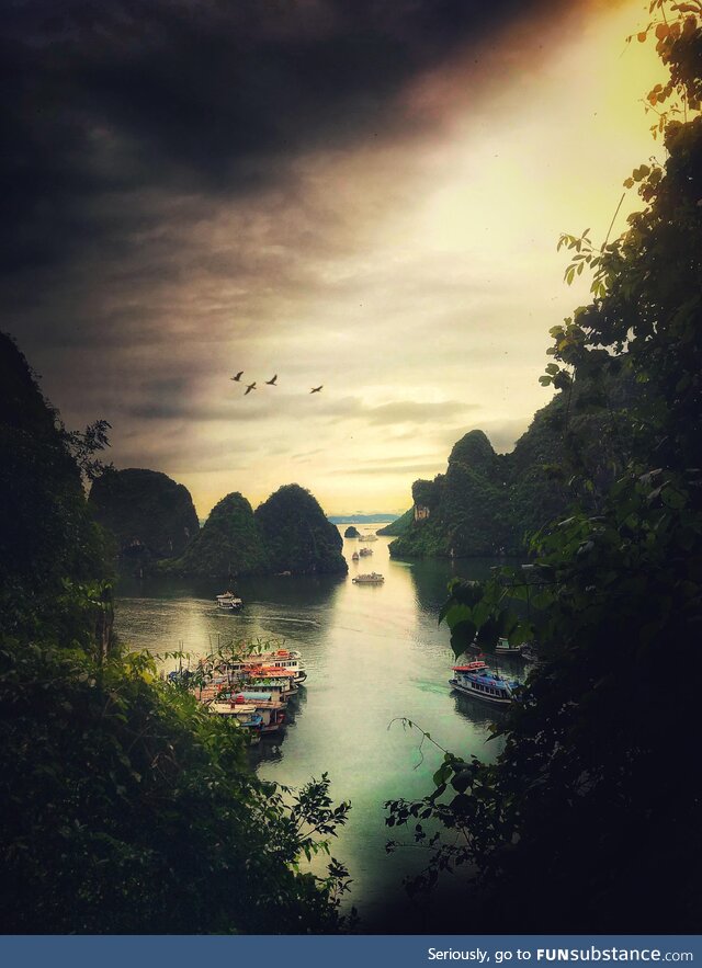 Ha long bay vietnam