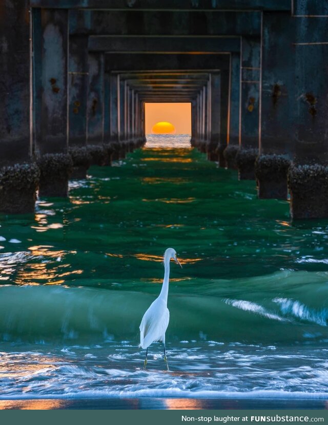 Sunset tunnel at Pier 60, Clearwater Beach, Florida