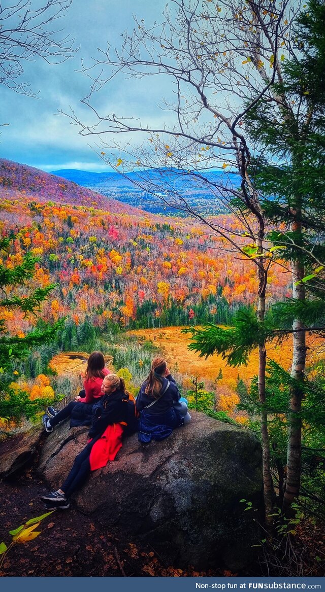 Friends enjoying autumn colours