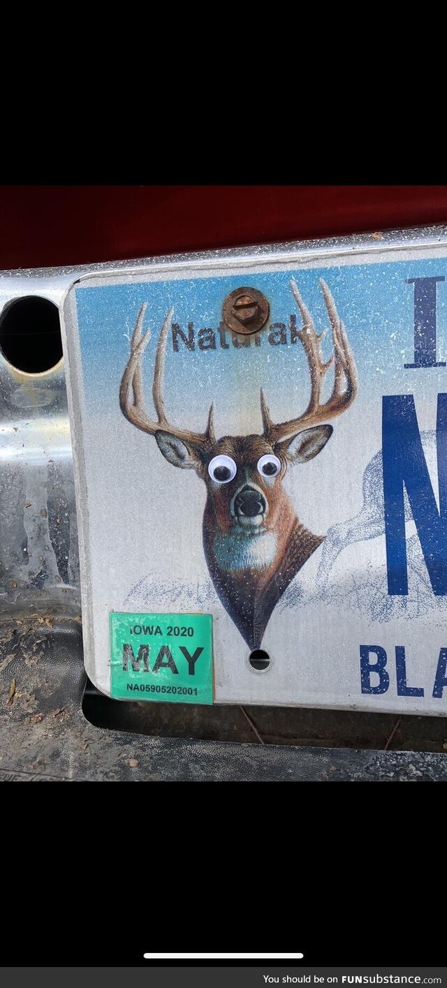 Googly eyes I put on my brothers license plate