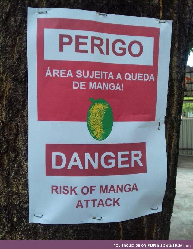 Brazil seems like a dangerous place