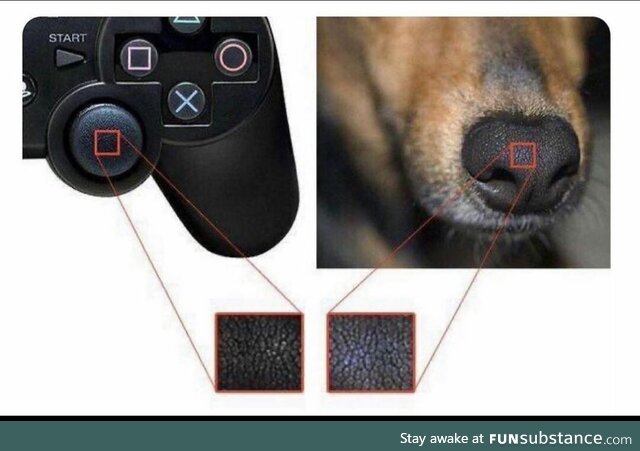 Today I learned that dog noses are made out of playstation controllers