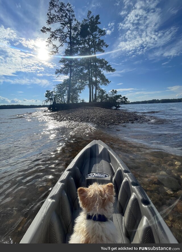 I found an island with my dog