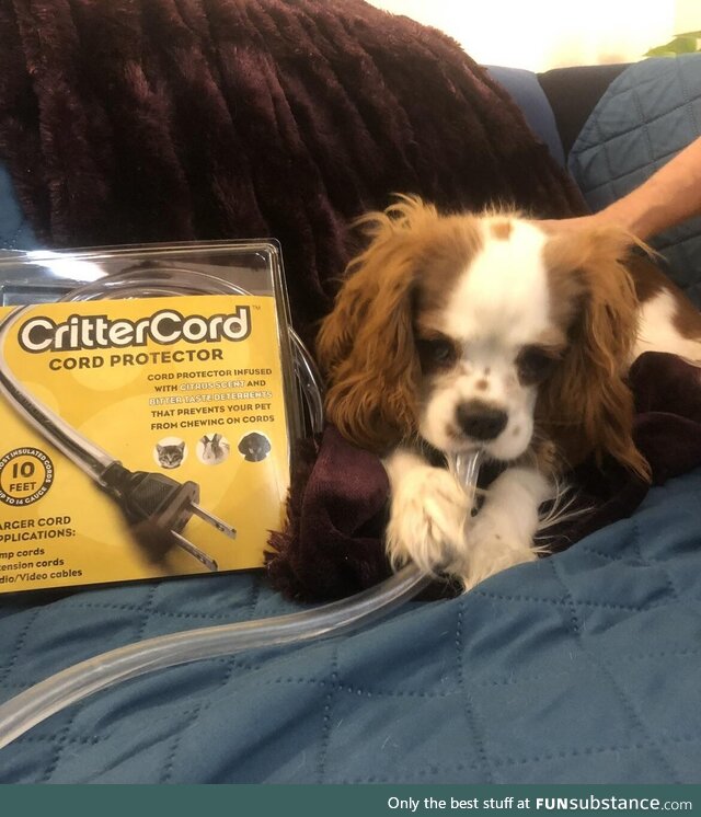 Cord protector, infused w/ bitter taste for dogs