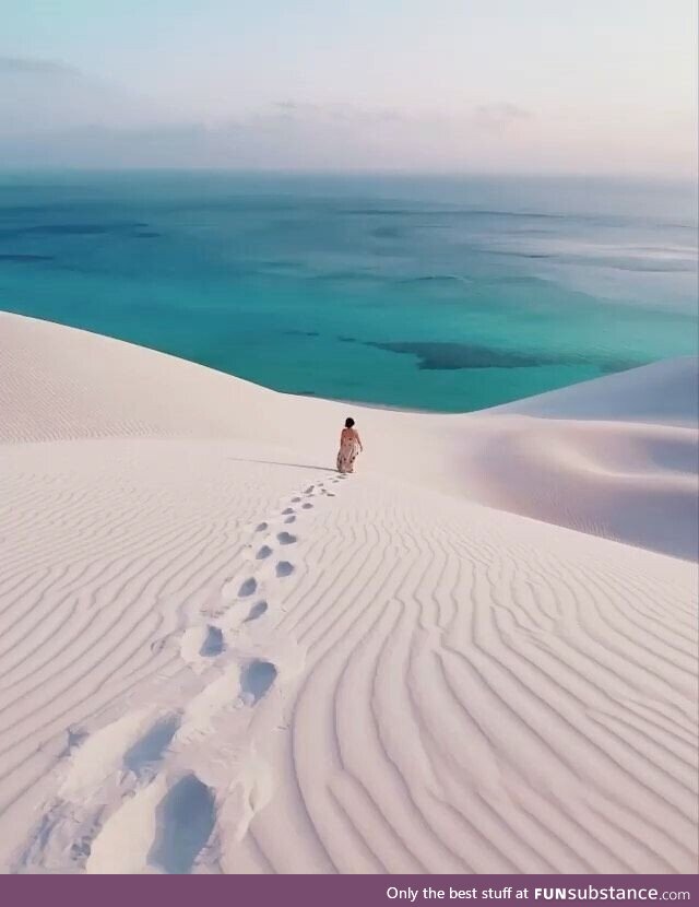 Socotra island, yemen