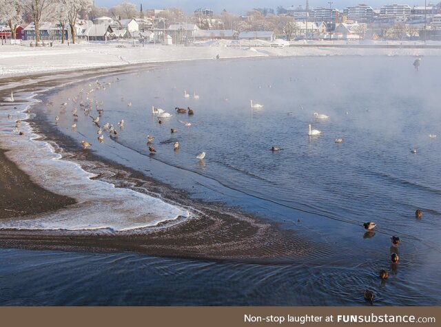 Norway has experienced a Fimbulwinter, but our beaches is still crowded by happy