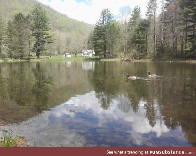 This pond in Pocahontas co. WV. Full of large mouth bass!