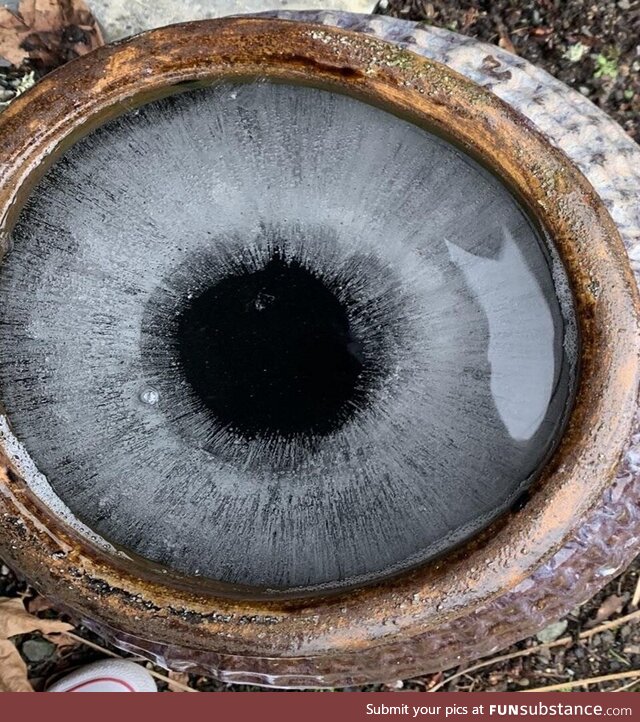 This ice formed perfectly in a way that makes it look exactly like an eyeball