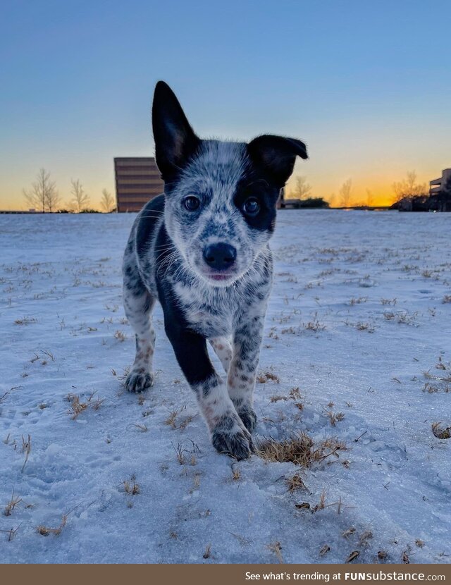 Dolly’s first snow day