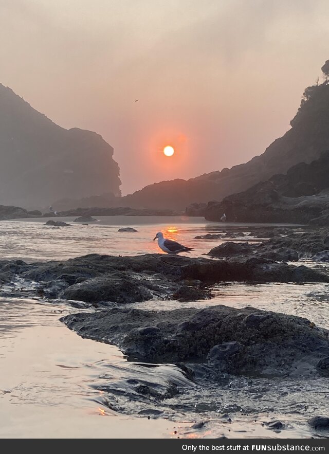 Probably the best shot I’ve gotten of the Oregon coast