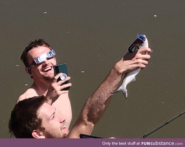 Man shows eclipse to his fish