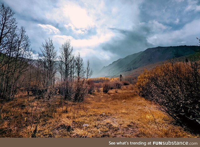 Fall in the Eastern Sierra, CA