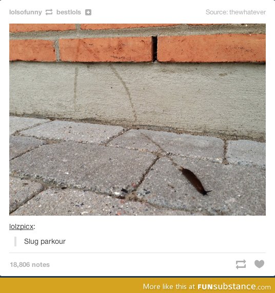 Slug parkour