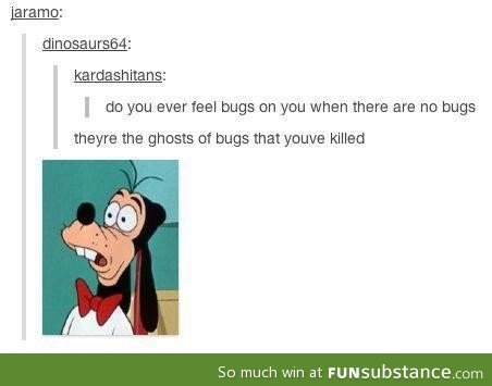 Ghost Bugs