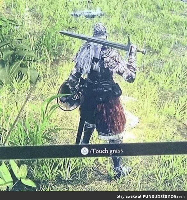 Apparently you can now touch grass in video games