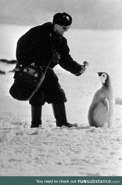 Moscow journalist interviews a Penguin (1966)