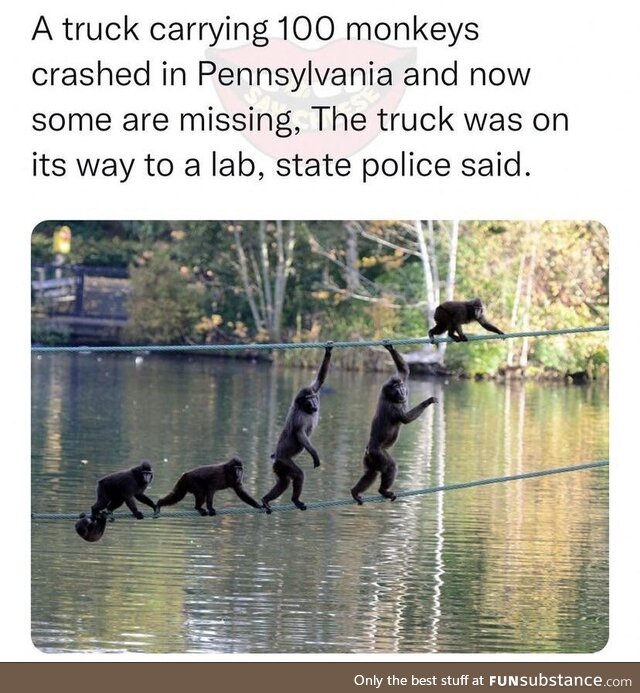 This dude just created a invasive species problem in Pennsylvania lol