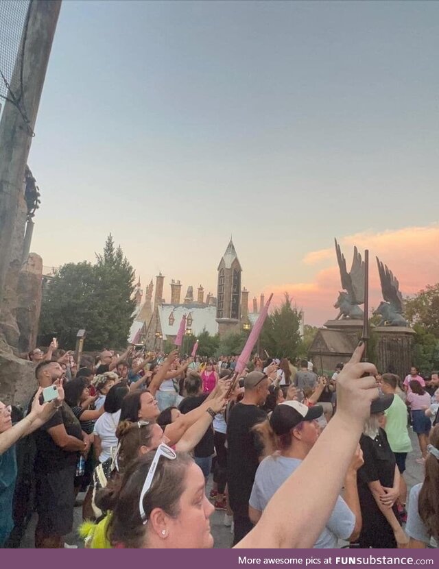 People shows up to Hogwarts to show respect to Robbie Coltrane tonight