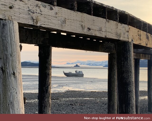 Portrait of Alaskan summer