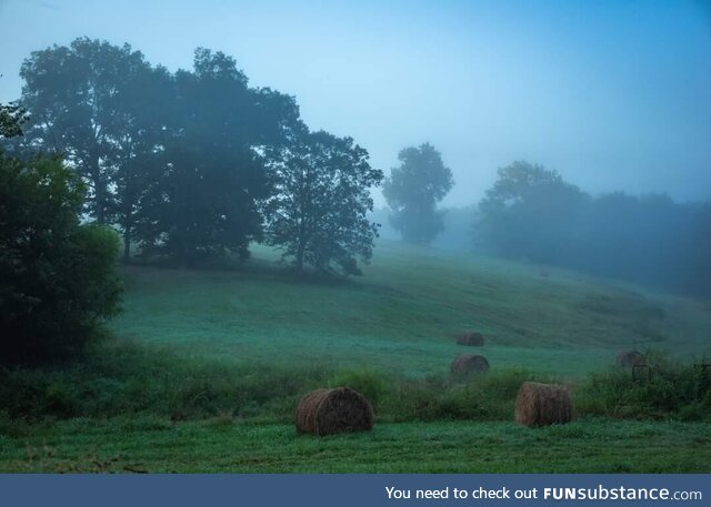 Foggy pasture in rural Tennessee 2023