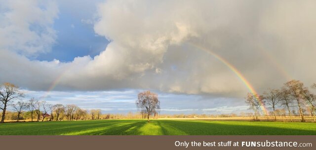 A picture of my partners deceased fathers favourite tree taken only a few days after the