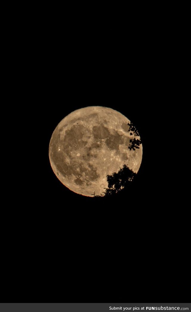 Super moon seen from Michigan